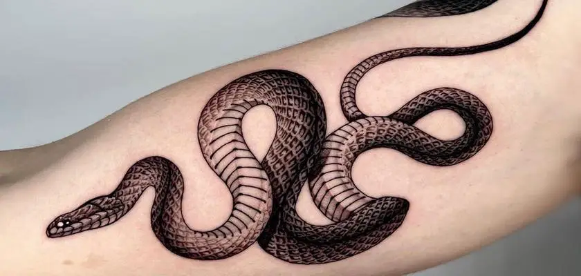 Tatuaggio a serpente – Tatuaggi Uomo
